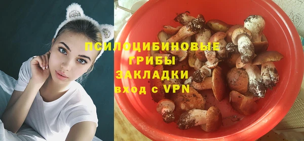 не бодяженный Абаза