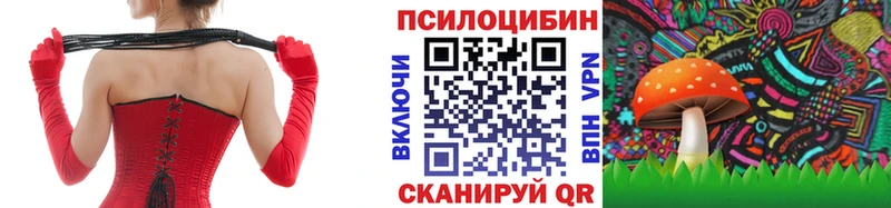 Псилоцибиновые грибы GOLDEN TEACHER  Трубчевск 